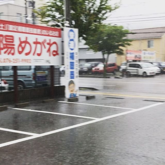 朝から激しい豪雨です。雨が止む気配がありません(-_-;)ずぶ濡れタヌキをひとまず店内に一時避難しました。#太陽めがね#ずぶ濡れタヌキ避難中#グリーンカーテンはすくすく成長中