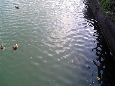 CA310231.jpg