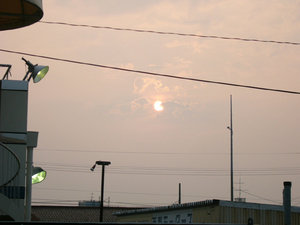 P1000520.JPG