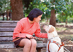 csr_guide_dog