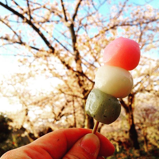 息子達のお迎えの帰り道。卯辰山へプチお花見に行ってきました花もいいけど  団子もいいねぇー️#太陽めがね #卯辰山#お花見#団子が無いのは花見じゃない